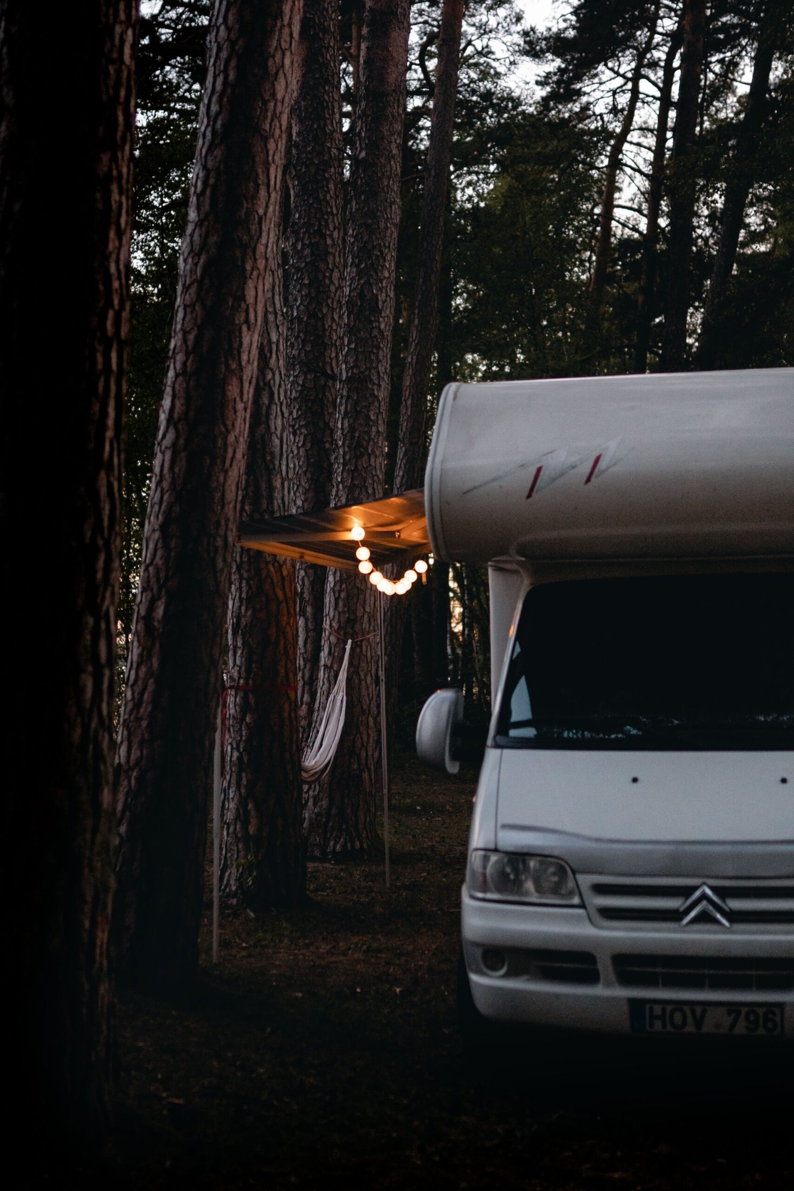 Camper estacionada en un bosque al anochecer