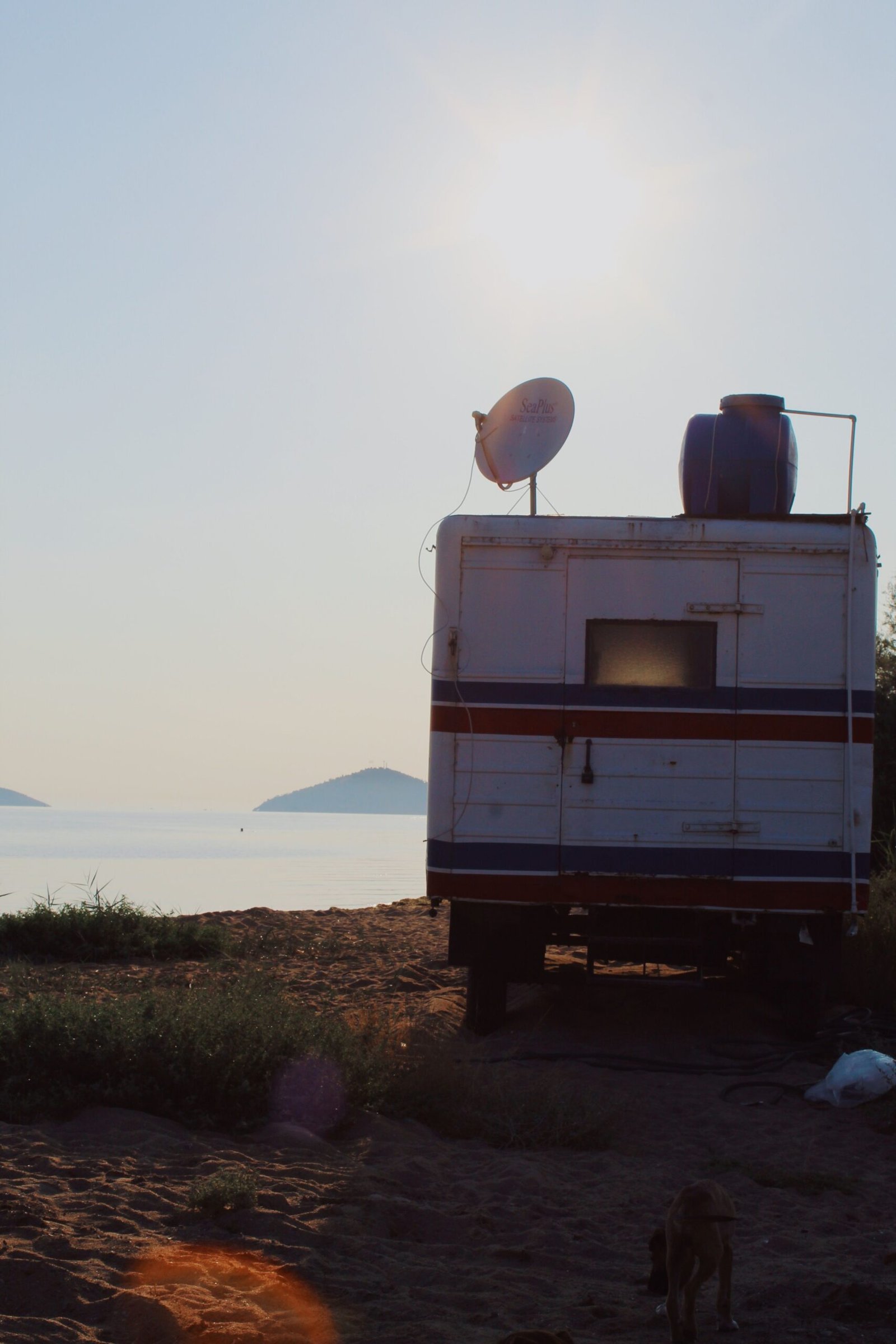 Camper junto al mar con un perro durante un viaje al atardecer