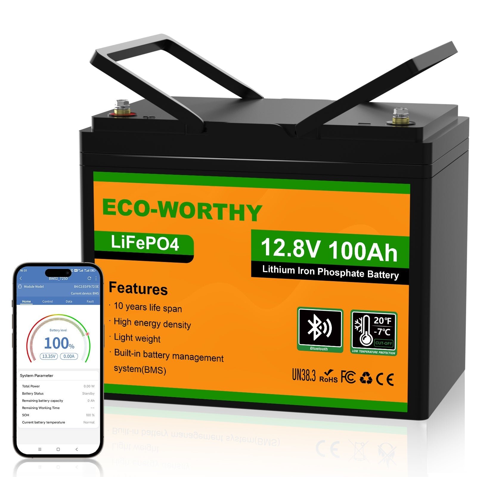 ECO-WORTHY LiFePO4 12 V 100 Ah con Bluetooth para camper