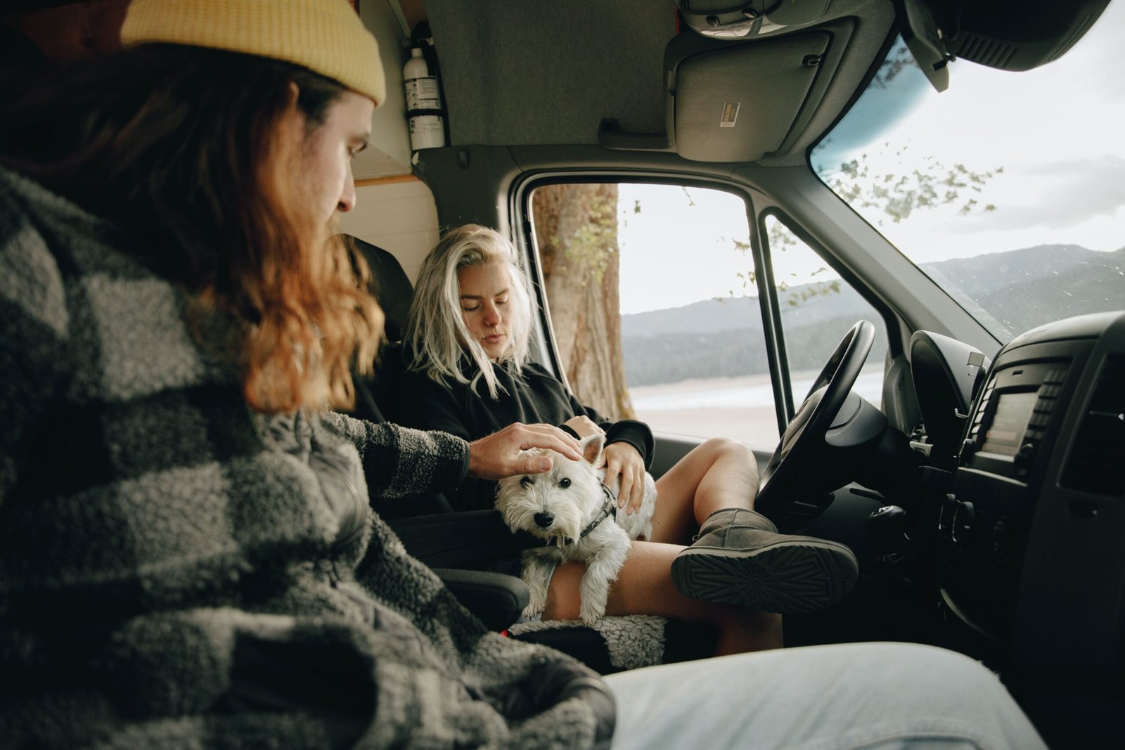 Perro viajando de forma segura en un vehículo