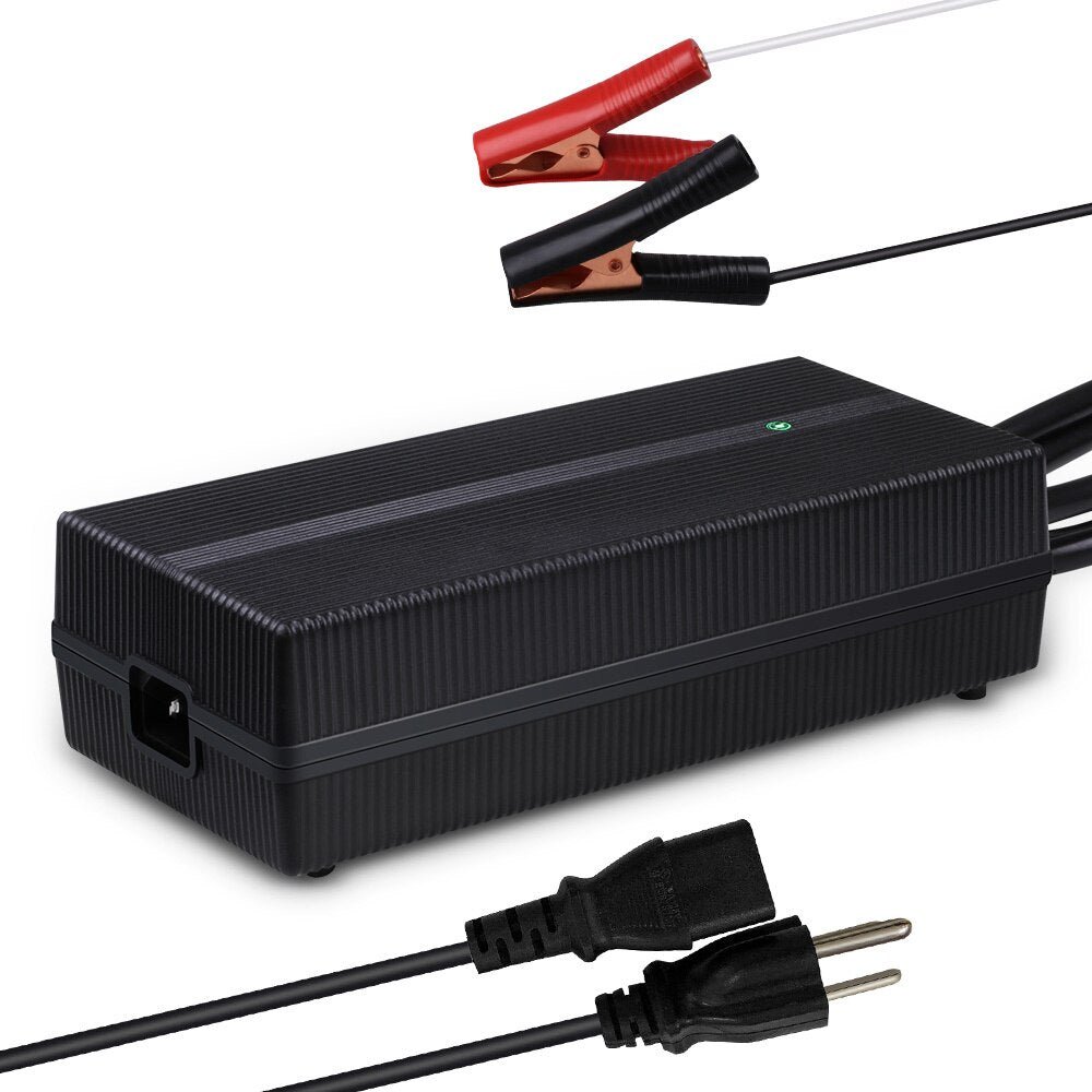 Renogy 20A cargador AC a DC LiFePO4 para camper