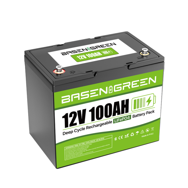 BasenGreen BG 12-100